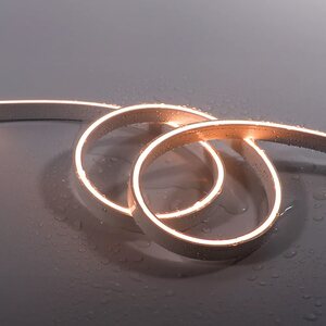 Neon/Silicone Products & Accessories